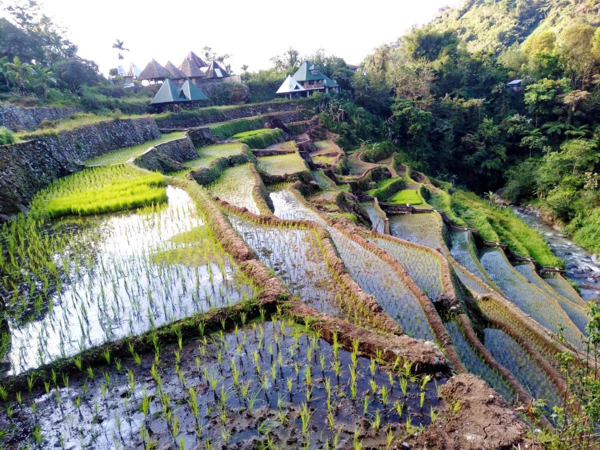 Bogah Lodge Banaue Ngoại thất bức ảnh