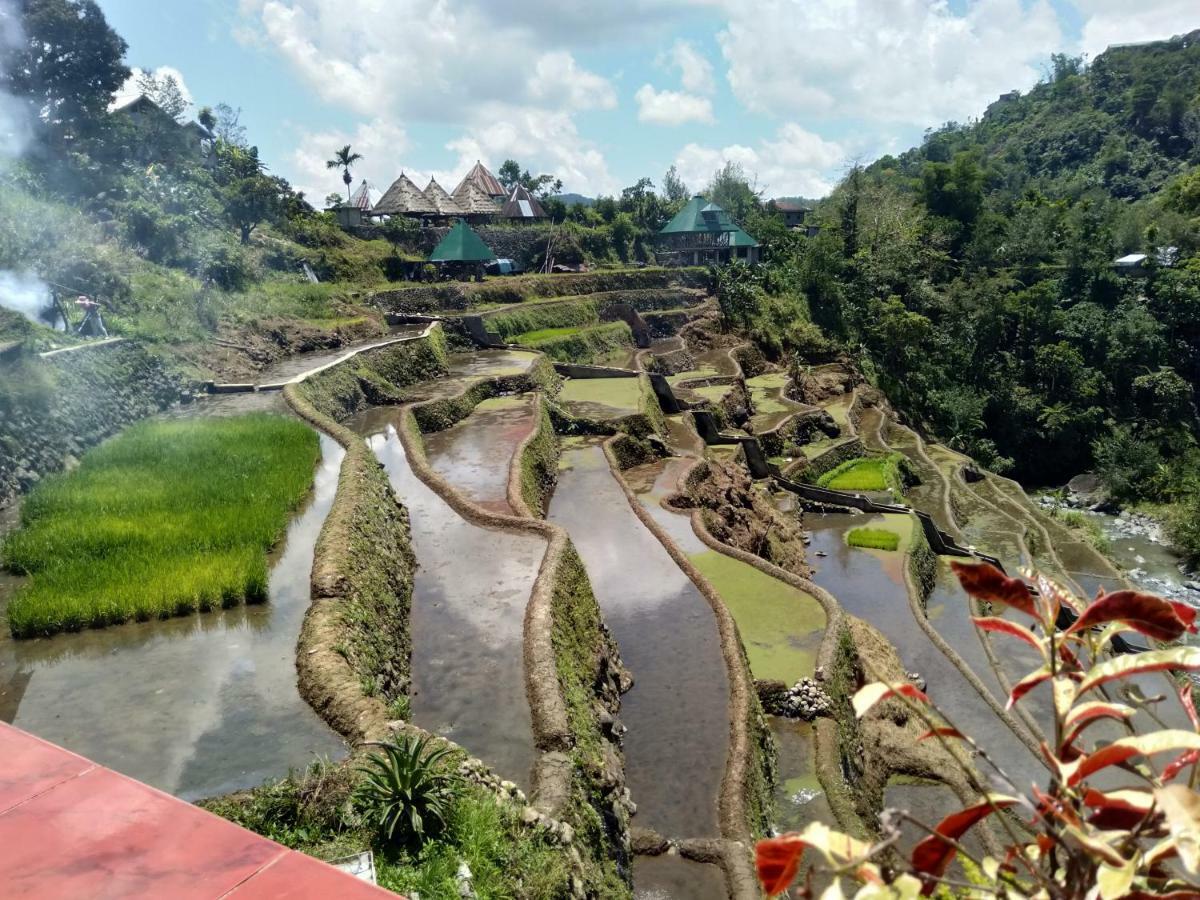 Bogah Lodge Banaue Ngoại thất bức ảnh